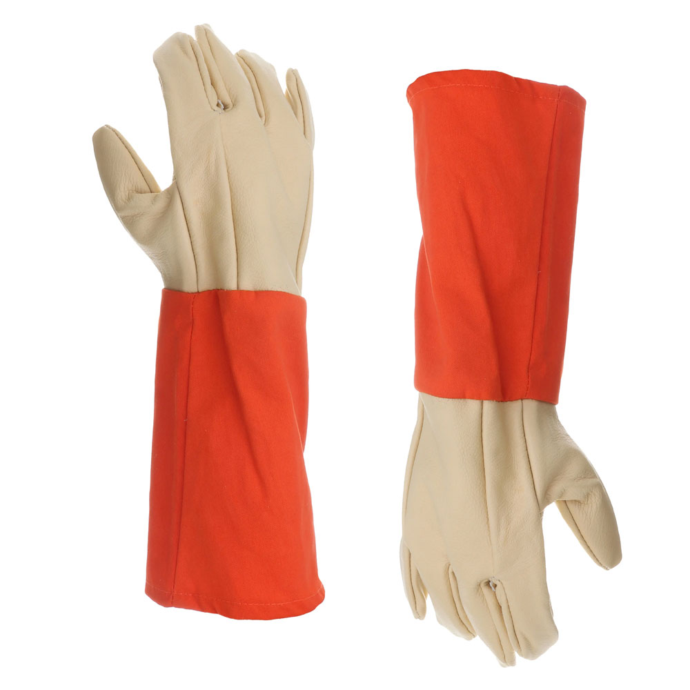 5k6c3i6o4h.jpg